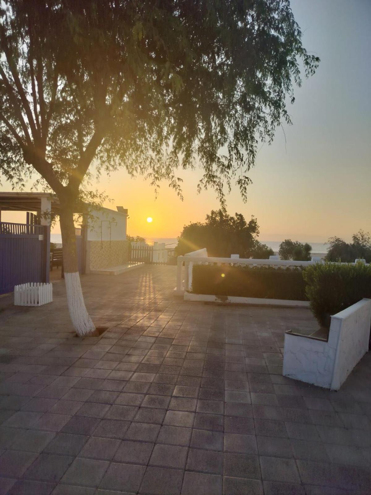 Al-Ashkhara Beach Resort منتجع شاطئ الأشخرة Ель-Шаркія Екстер'єр фото