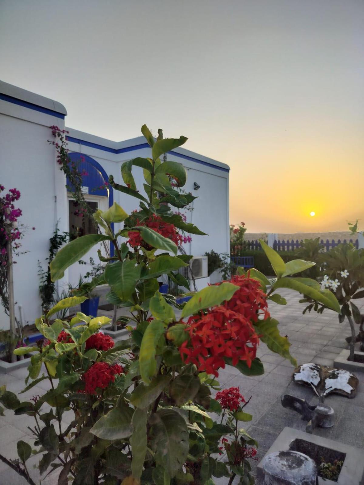 Al-Ashkhara Beach Resort منتجع شاطئ الأشخرة Ель-Шаркія Екстер'єр фото