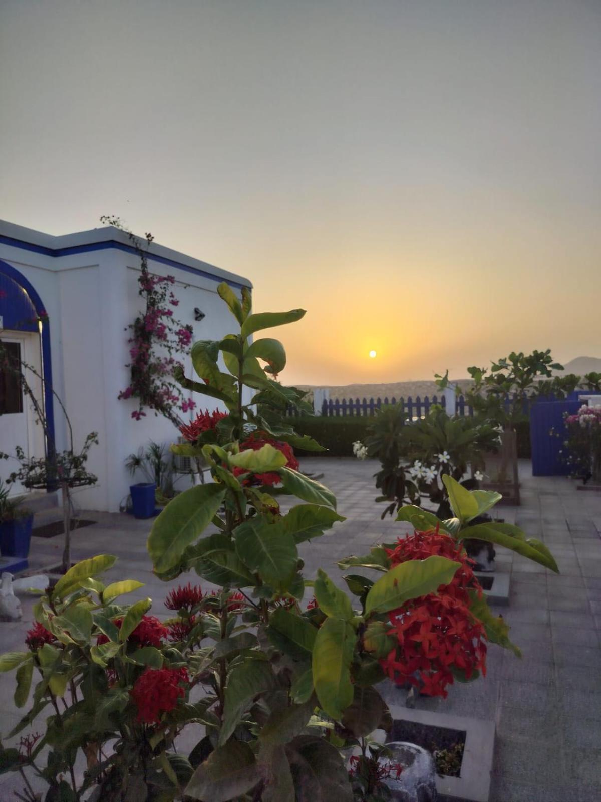 Al-Ashkhara Beach Resort منتجع شاطئ الأشخرة Ель-Шаркія Екстер'єр фото