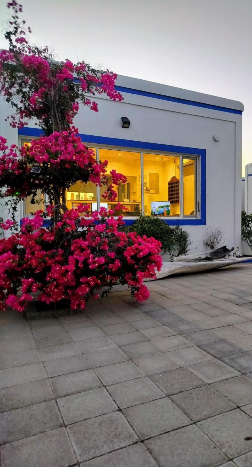 Al-Ashkhara Beach Resort منتجع شاطئ الأشخرة Ель-Шаркія Екстер'єр фото